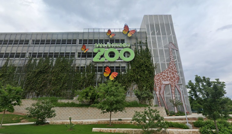 San Antonio Zoo Shuttered Due to Floodwaters, Expected to Reopen Post-Cleanup