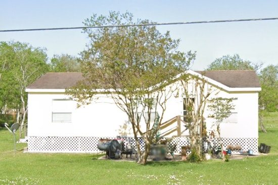 San Leon Property Unveils Grim Discovery, Scores of Dead Cats and Neglected Horse Spur Animal Cruelty Investigation