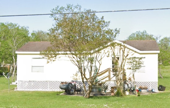 San Leon Property Unveils Grim Discovery, Scores of Dead Cats and Neglected Horse Spur Animal Cruelty Investigation
