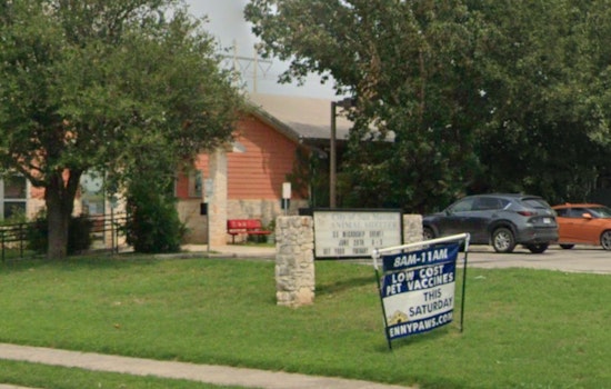 San Marcos to Transition Control of Overcrowded Animal Shelter to Hays County by 2026