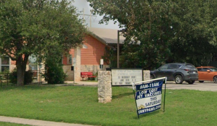 San Marcos to Transition Control of Overcrowded Animal Shelter to Hays County by 2026