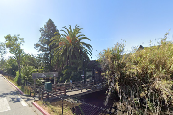 San Rafael's WildCare Relocating Temporarily Ahead of $24 Million Renovation Project
