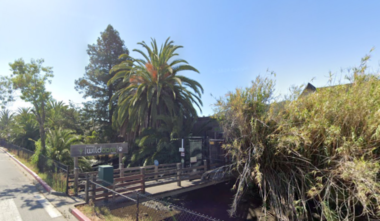 San Rafael's WildCare Relocating Temporarily Ahead of $24 Million Renovation Project