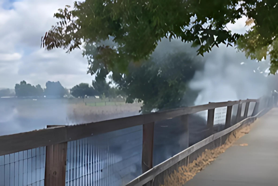 Santa Rosa Firefighters Quickly Subdue Vegetation Fire