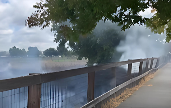 Santa Rosa Firefighters Quickly Subdue Vegetation Fire
