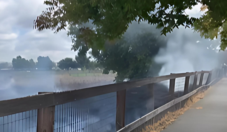 Santa Rosa Firefighters Quickly Subdue Vegetation Fire
