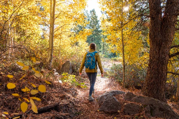 Scott County's Cedar Lake Farm Invites Women to Nature-Rich Wellness Retreat with Hiking, Yoga, and S'mores