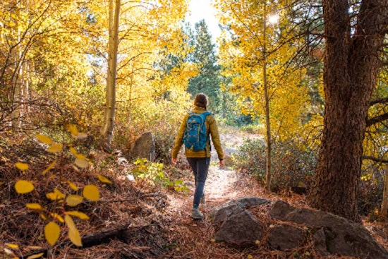 Scott County's Cedar Lake Farm Invites Women to Nature-Rich Wellness Retreat with Hiking, Yoga, and S'mores