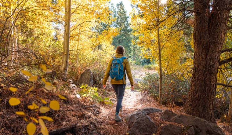 Scott County's Cedar Lake Farm Invites Women to Nature-Rich Wellness Retreat with Hiking, Yoga, and S'mores