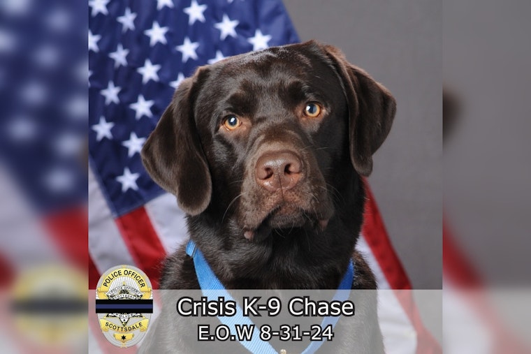 Scottsdale Police Department Mourns the Loss of Beloved Comfort Dog