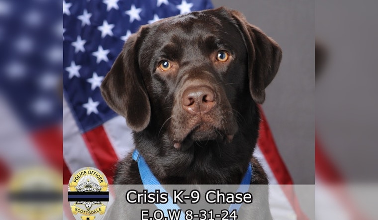Scottsdale Police Department Mourns the Loss of Beloved Comfort Dog
