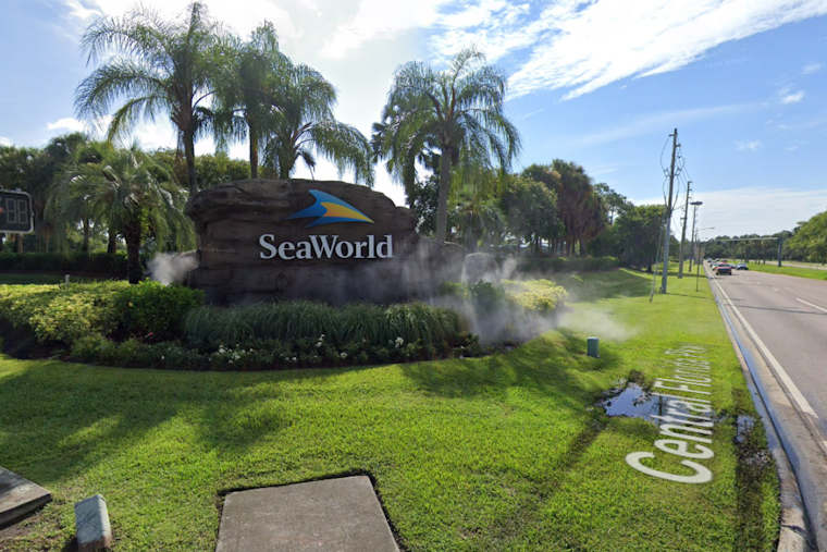 SeaWorld Orlando Provides Sanctuary to Orphaned Walrus Calf Rescued from Alaska