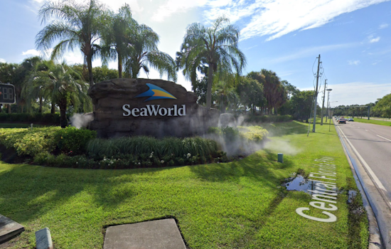 SeaWorld Orlando Provides Sanctuary to Orphaned Walrus Calf Rescued from Alaska