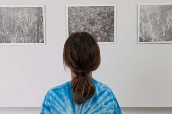 SEEK Raleigh Unveils Upcoming 2024/2025 Artists Set to Enliven Public Spaces in the City