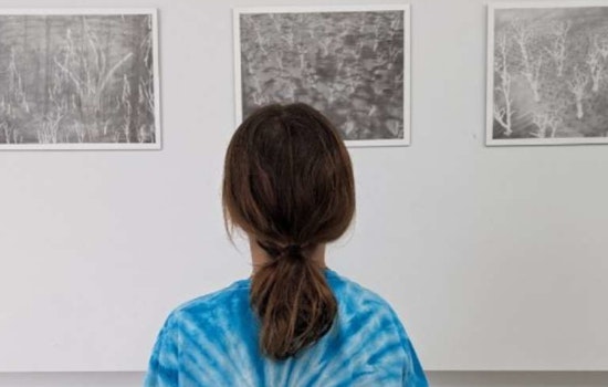 SEEK Raleigh Unveils Upcoming 2024/2025 Artists Set to Enliven Public Spaces in the City