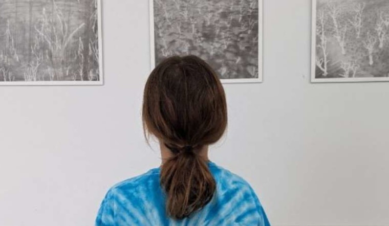 SEEK Raleigh Unveils Upcoming 2024/2025 Artists Set to Enliven Public Spaces in the City