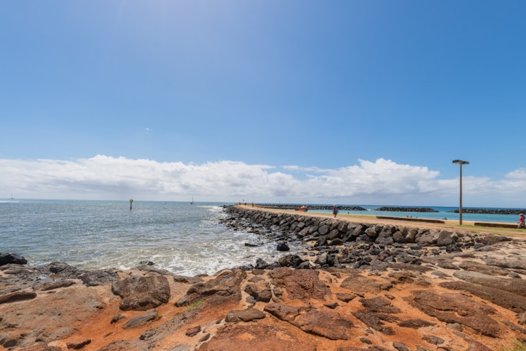 Shark Advisory Issued at Ala Moana Beach Park as Hammerheads Spotted Off Oahu Coast