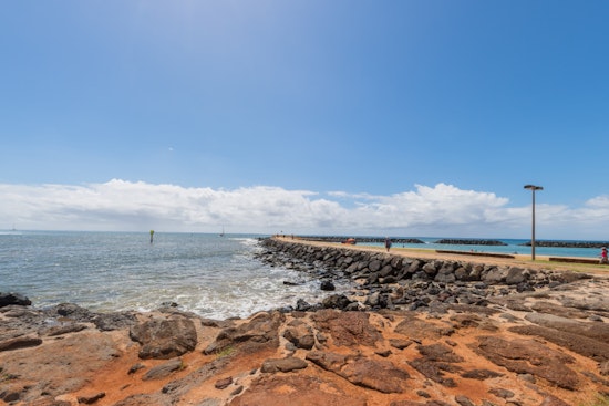 Shark Advisory Issued at Ala Moana Beach Park as Hammerheads Spotted Off Oahu Coast