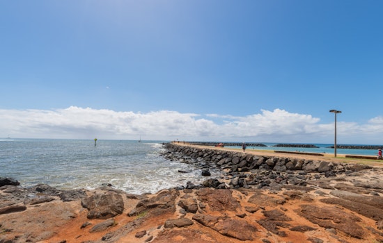 Shark Advisory Issued at Ala Moana Beach Park as Hammerheads Spotted Off Oahu Coast