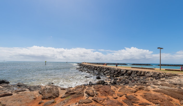 Shark Advisory Issued at Ala Moana Beach Park as Hammerheads Spotted Off Oahu Coast