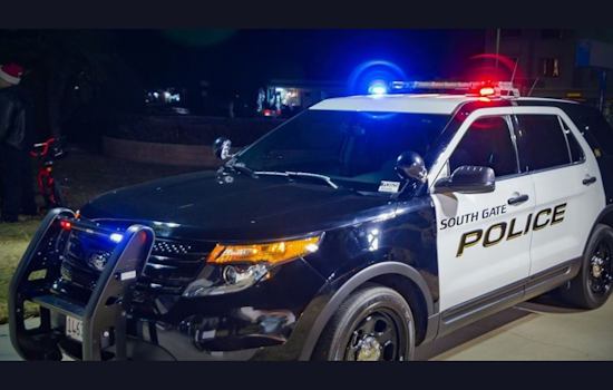 Southgate Man Arrested After Attempted Murder of Neighbor, Kills Own Dog Amid Noise Dispute