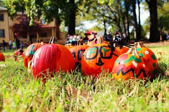 Spellbound at Mordecai as Raleigh's Historic Park Transforms Into a Festive Halloween Haven for All Ages