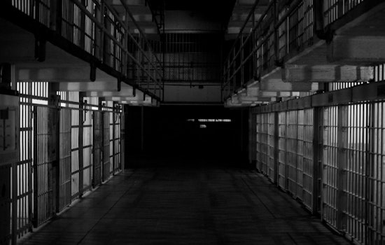 St. Louis Man Sentenced to Over 6 Years for Fentanyl Distribution and Firearm Offenses in Incident Involving Animal Cruelty