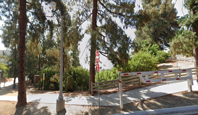 Stranded Hiker Safely Rescued from Steep Incline in Griffith Park by LAFD and Park Rangers