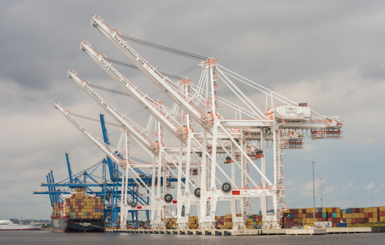Strike Alert, East & Gulf Coasts Brink of Shutdown as Port Workers Ready Walk-Off Over Wage Woes