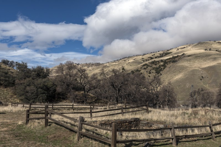 Study Links Climatic Fluctuations with Rising Valley Fever Cases in California