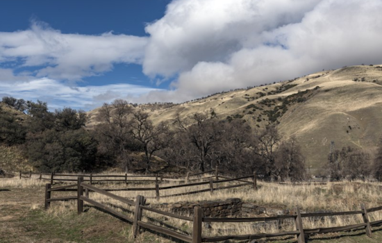 Study Links Climatic Fluctuations with Rising Valley Fever Cases in California