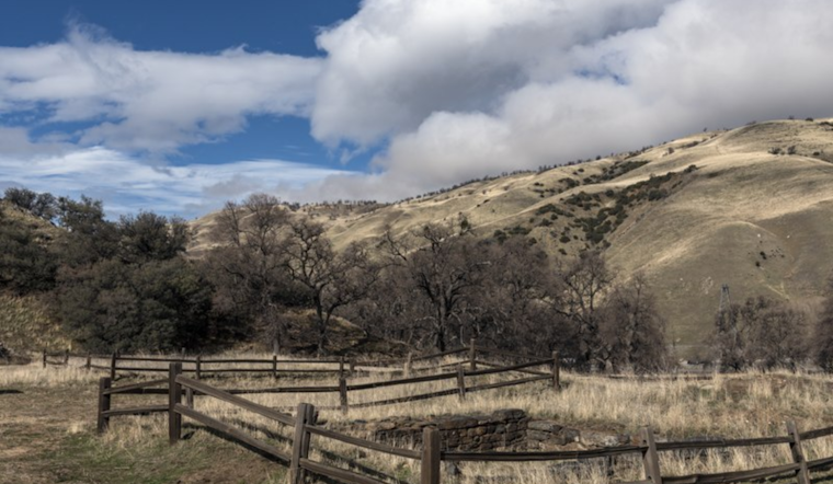 Study Links Climatic Fluctuations with Rising Valley Fever Cases in California