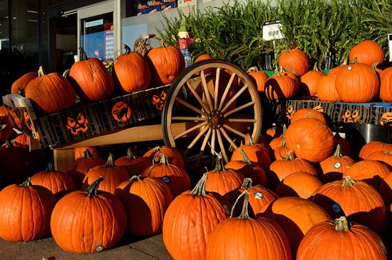 Surprise Gets Spooktacular, Monster Bash and Pumpkin Patch Set for Oct 25th at Countryside Recreation Center