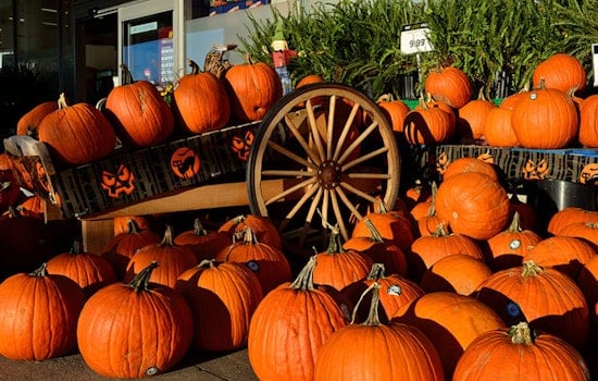Surprise Gets Spooktacular, Monster Bash and Pumpkin Patch Set for Oct 25th at Countryside Recreation Center