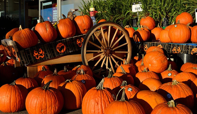 Surprise Gets Spooktacular, Monster Bash and Pumpkin Patch Set for Oct 25th at Countryside Recreation Center
