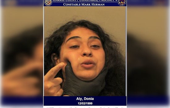 Suspected of DWI and Bribery, Driver Faces Charges After Traffic Stop in Northgate Crossing
