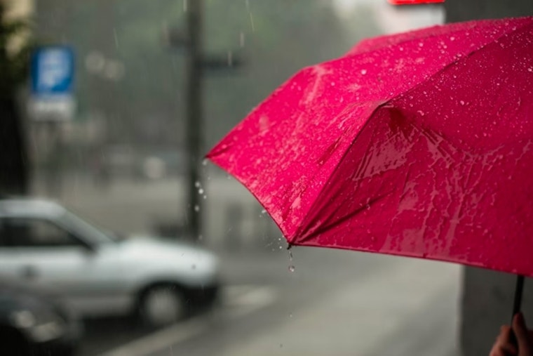 Tampa Braces for Week of Showers and Thunderstorms with Highs Nearing 90