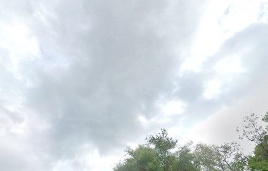 Tampa Gears Up for Thunderstorms and High Humidity as NWS Issues Rip Current and Flood Warnings