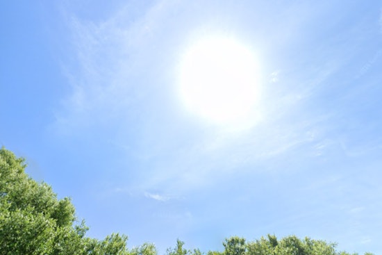 Tampa Residents Anticipate Sweltering Heat with Highs Nearing the 90s and Scattered Storms on the Horizon