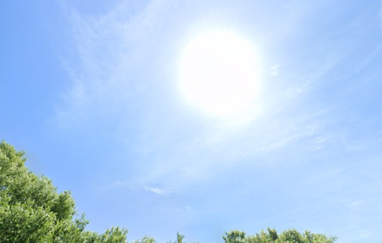 Tampa Residents Anticipate Sweltering Heat with Highs Nearing the 90s and Scattered Storms on the Horizon