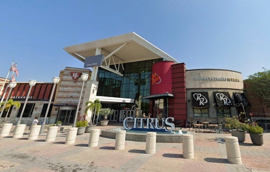 Teen Fatally Shot Outside Red Robin at Citrus Park Town Center as Two Are Detained for Questioning