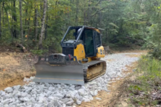 Tennessee's Pickett State Forest Vehicle Ban Extended to 2025 to Counter Ecological Damage