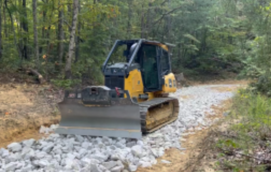Tennessee's Pickett State Forest Vehicle Ban Extended to 2025 to Counter Ecological Damage