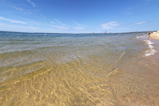 "The Shark" Halts Another Lake Michigan Swim Challenge, Aiming from Grand Haven to Wisconsin