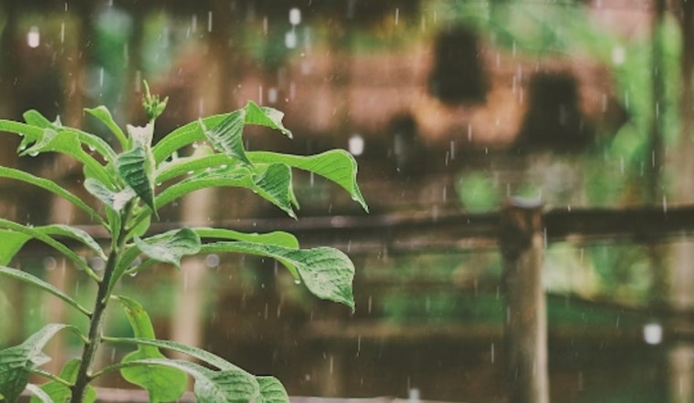 Trade Winds to Continue Over Hawaiian Islands with Slight Decrease in Showers