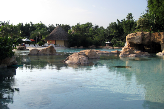 Tragedy Strikes Again at Discovery Cove: Third Death Plunges Orlando Park into Crisis