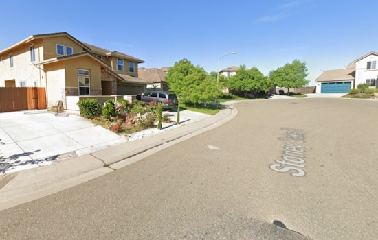 Tragic Blaze Claims Family Dog in Rancho Cordova, Another Pet Missing