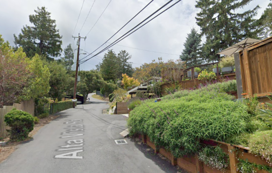 Tragic Blaze Claims Life of Mill Valley Resident and Dog, Multi-Agency Response Tames Fire as Investigation Unfolds