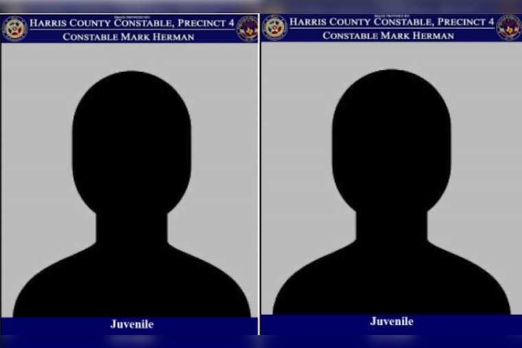 Two 14-Year-Olds Charged with Aggravated Robbery Following Incident on Windfern Road