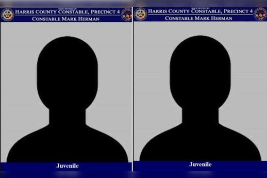 Two 14-Year-Olds Charged with Aggravated Robbery Following Incident on Windfern Road
